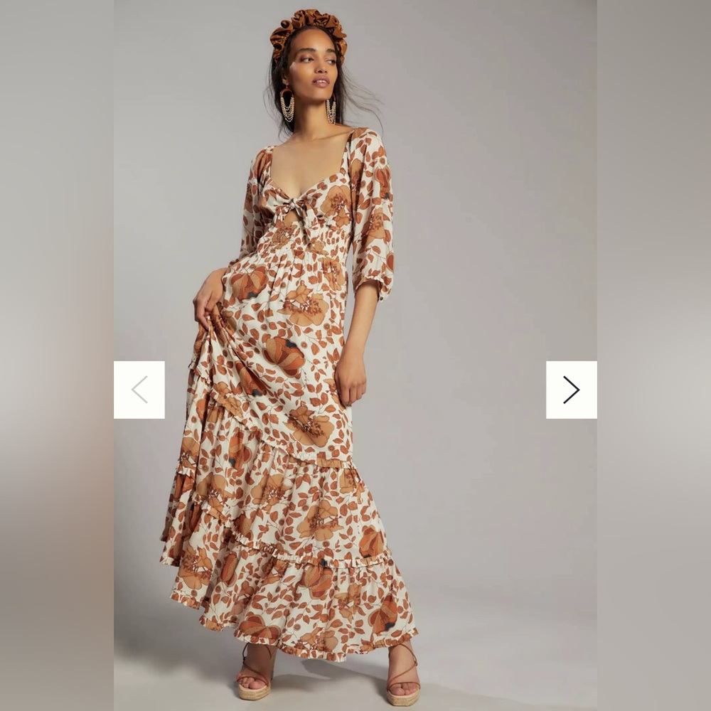 Anthropologie Floral Brown boho Maxi Dress